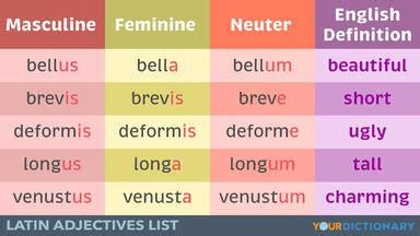 locito meaning|locito‎ (Latin): meaning .